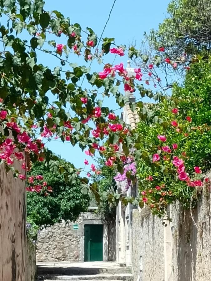 דירות Seaview Dubrovnik Old Town מראה חיצוני תמונה
